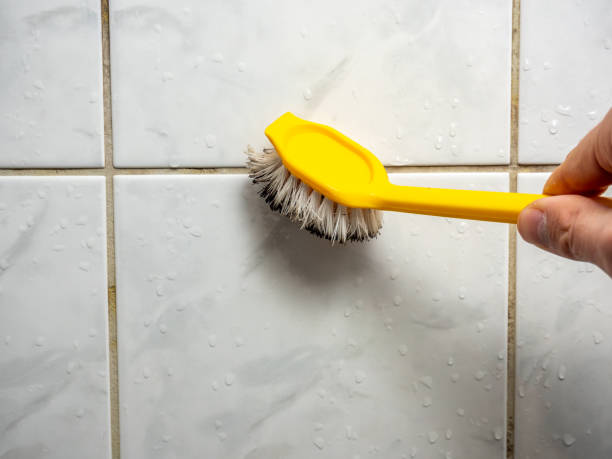  Greenville, OH Mold Removal Pros